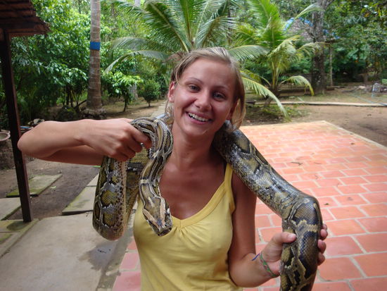 nur cosima kann sich nicht so recht anfreunden