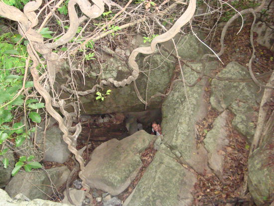 cosima verschwindet im loch