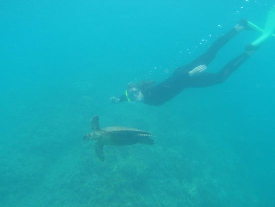 Ich mit der Turtle  in der Blue Pearl Bay vor Hamilton Island