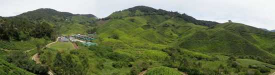 Hier der Panoramaausblick bei unserer Teerunde auf der Terasse der Teeplantage...