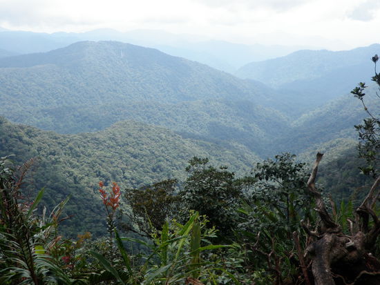 Der Ausblick vom Gipfel, bevor die Wolken kamen