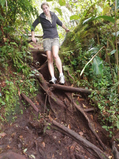 so sahen die drei Km aus....