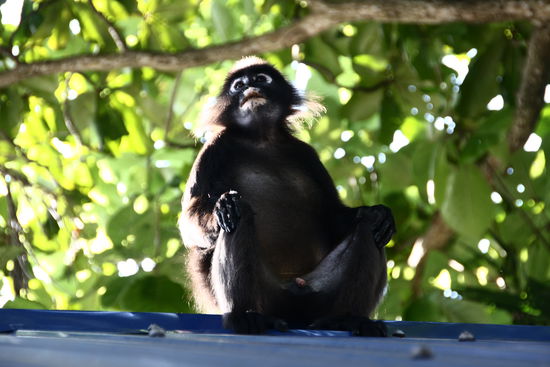Ist er nicht schnuckelig?