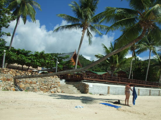 Der TRAUMSTRAND!!!
Unvergesslich!!!
