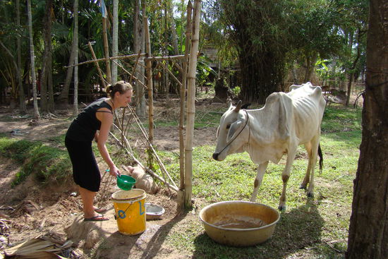 Auch die Hausarbeit darf nicht vernachlaessigt werden. Natschi verschafft der Sau eine Abkuehlung. 
Sau muesste man sein!