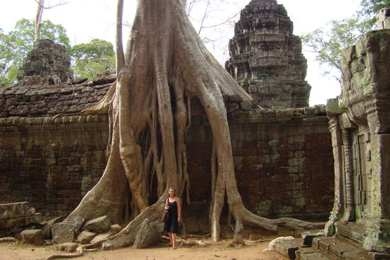Riesige Baeume umschlingen das Mauerwerk des ehemaligen Klosters Ta Phrom