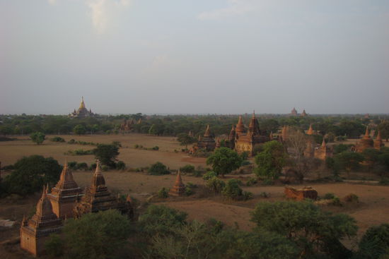 Tempel und Stupas in Bagan