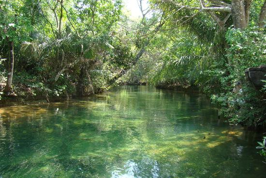 Rio Formoso bei Bonito