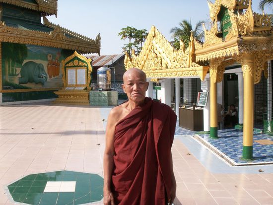 dieser Moench wollte unbedingt von mir fotografiert werden, damit er sich nachher gleich im Display wieder sehen konnte! machma doch gern!