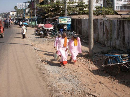 auch weibliche Moenche sind in Myanmar keine Seltenheit!
