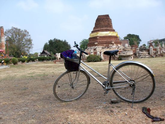 schneidig, der Esel aus Draht ...