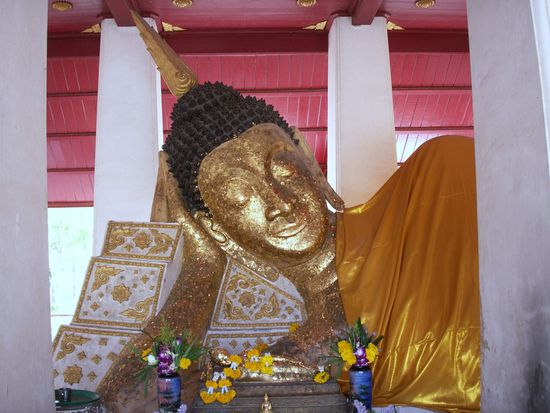 ich hab die Haare schön, ich hab die Haare schön ...