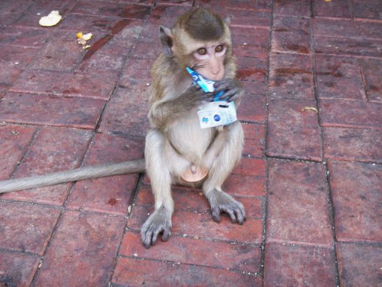 Biddeschoen, das ist meins!!!!