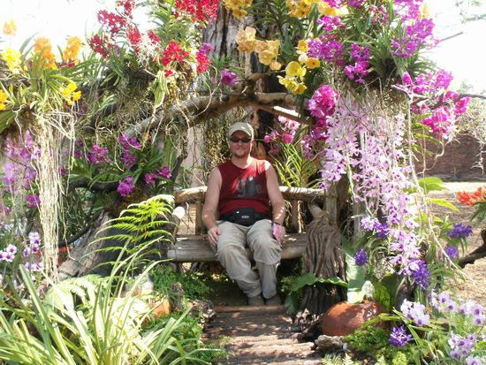 eines der letzten Blumenkinder wurde hier gesichtet!
... be sure to wear some flowers in your hair ...