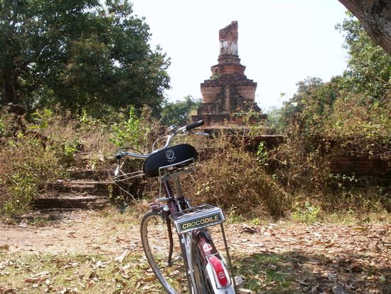 Da ist er, der heimliche Star, mein "Crocodile"  
Brav war er!