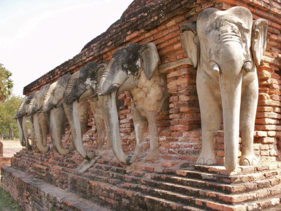 und schon wieder einige nasi longi.
Die armen wurden wahrscheinlich aehnlich Pompey von einem Wienerbergerausbruch ueberrascht ...