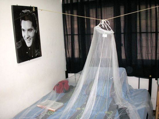 Mein Zimmer in Chiang Mai.
Der king lebt, eindeutig!!!