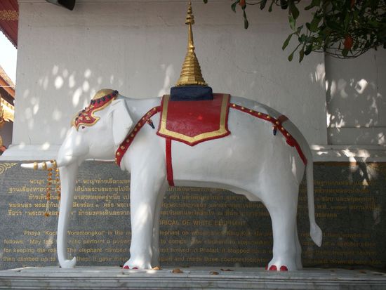 Die Legende will es so, dass just an dem Ort, an dem ein weißer Elefant samt Buddhareliquie sich hingelegt hat, Wat Doi Suthep errichtet wurde!