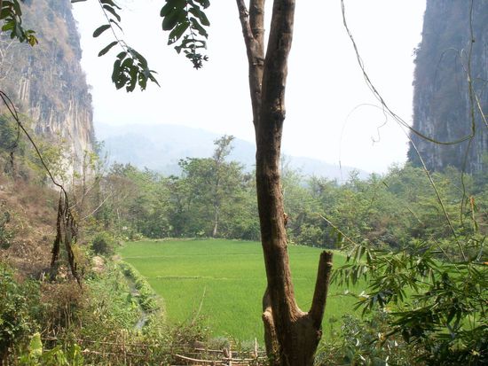 eine Wanderung führt mich durch eindrucksvolle Täler, grüne Reisfelder,...