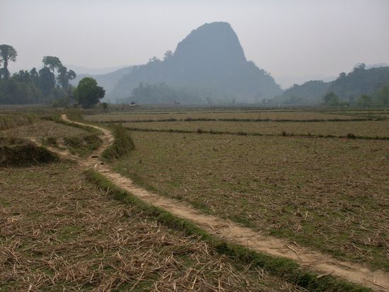durch die Reisfelder zwischen den Hügeln, Wäldern, Höhlen und Wasserfällen geht es ...