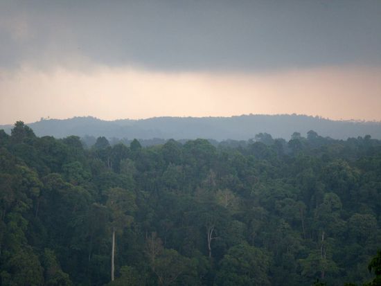 und am Ende gab es noch ein feines Gewitter.