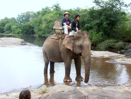 ein riesiger Nikofant mit klassischem Hut. So selten wie der Yeti ...