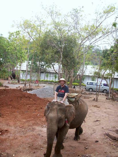 zwei Dickhäuter unterwegs auf dem Trampelpfad der Welt...