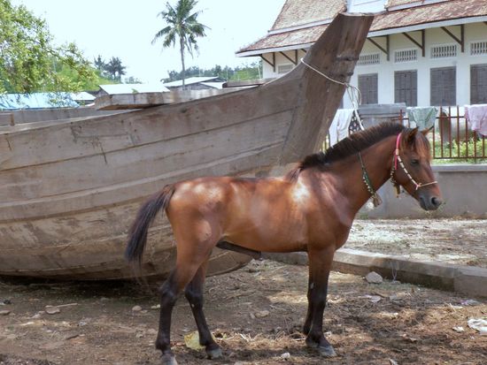 Dieses Boot hat genau 1 PS!