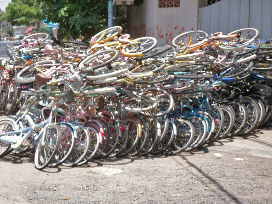 zum Thema: Wo bekommt meinereiner seine drahtigen Esel her ... 