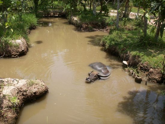 wenns heiß ist, braucht man eine Abkühlung.