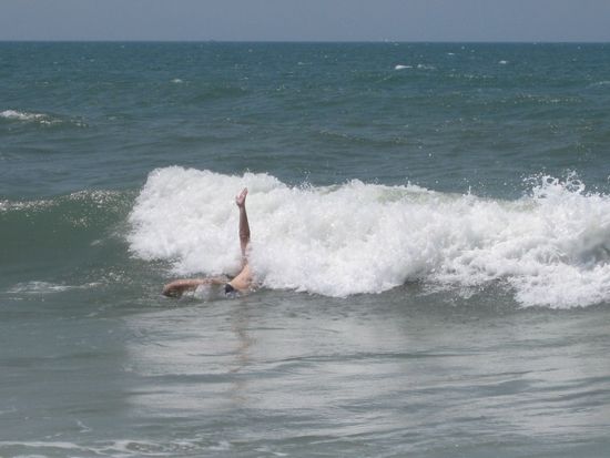 verschwinden elegant in den Wellen.