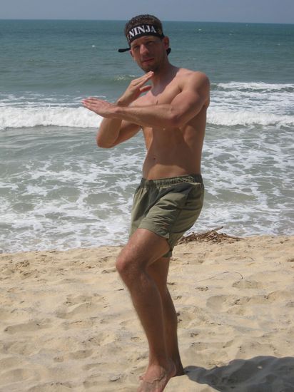 Ninjamutantheroturtel ...