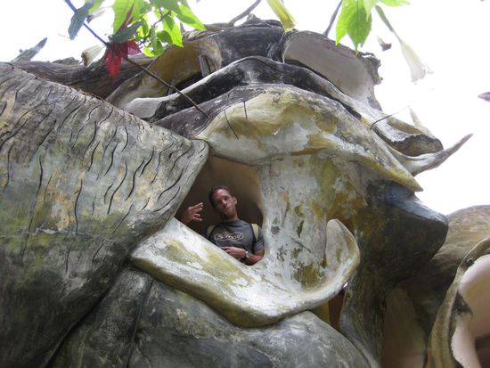 und der Fenstergucker war auch da!