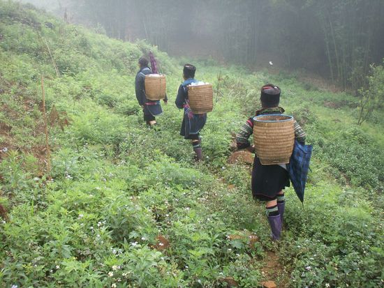 es geht über Stock und Stein, über Abhänge, Felder, Hügel und durch Wälder