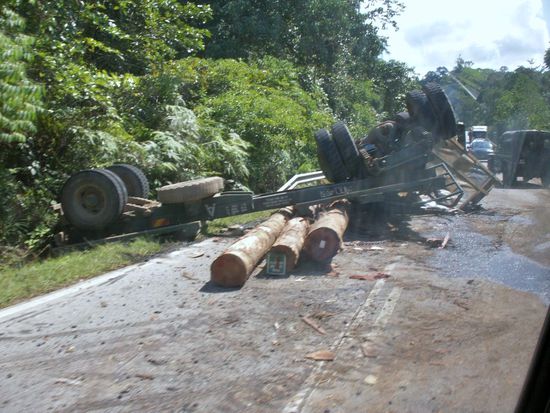 viel Holz unter dem LKW. Ein "kleiner" Unfall auf der Straße in den Nationalpark