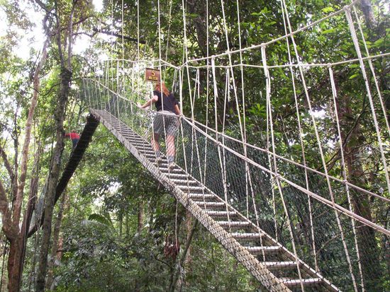aber, als Österreicher muss i natürlich immer auffi ...