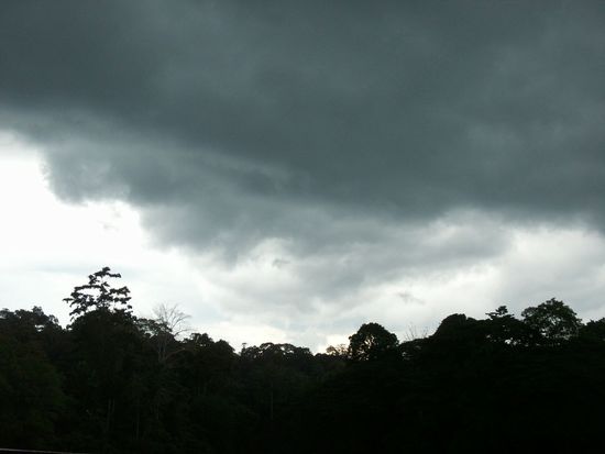 Richtig, es heißt REGENwald, weil es dort oft regnet ...