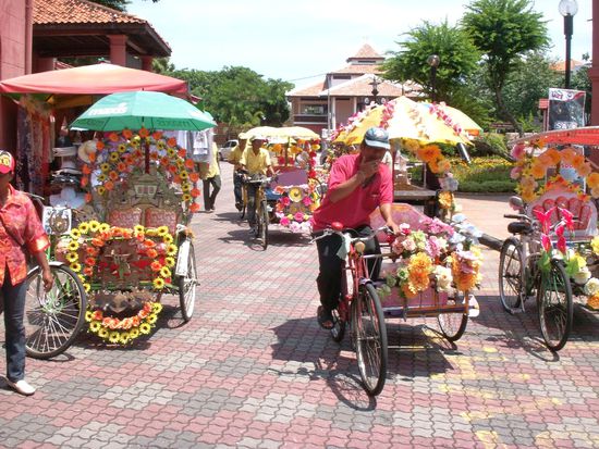 Die Cyclos sind hier besonders bunt