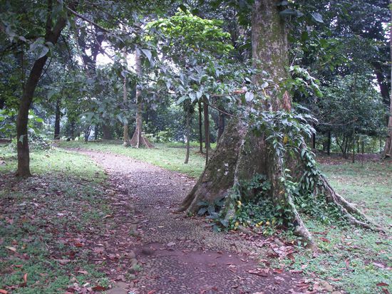 der botanische Garten ist eine riesige Parkanlage mit unterschiedlichster Flora und Fauna