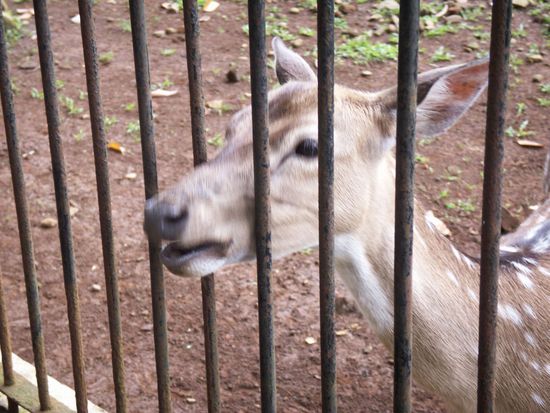 ... nach einer kurzen aber heftigen Diskussion haben wir uns darüber geeinigt, dass es nicht auf meinem Teller landet!