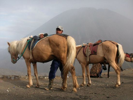 für alljene, die ein Problem mit der Schwerkraft haben gibts am Fusse des Berges so einige Pferdestärken