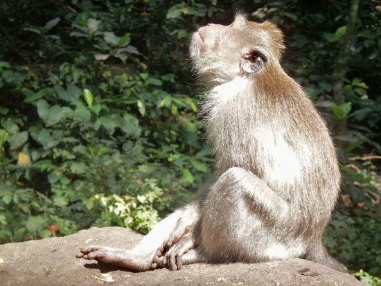 he can see clearly now the rain has gone 