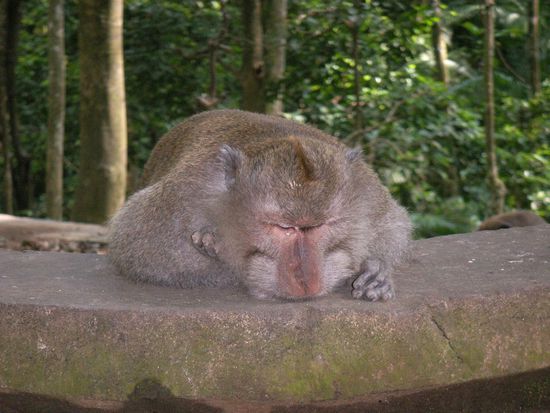 when you look up, don´t forget to look down!