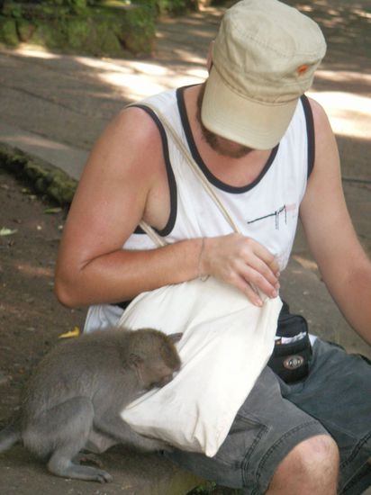 where are the bananas?