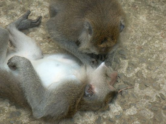 put a little love in your heart ...