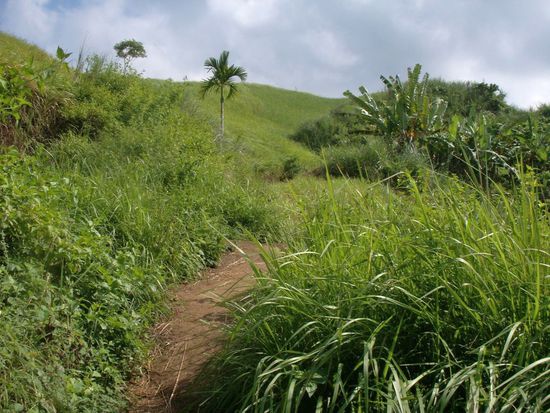 danach erfreue ich mich an grünen Wiesen und blauem Himmel