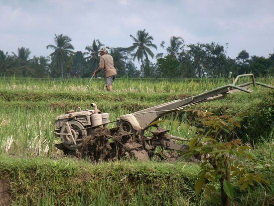gearbeitet wird! Auch heute am Sonntag