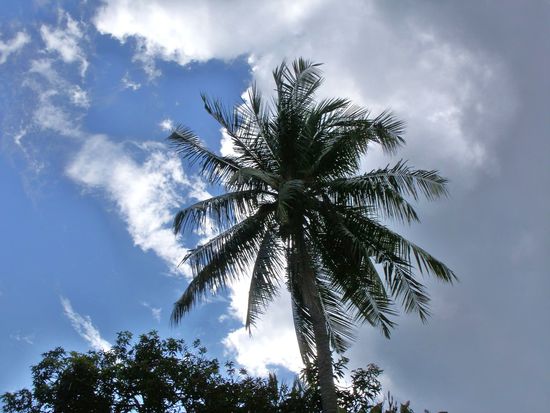 wie man sieht, die Eiszeit ist schon länger vorbei...