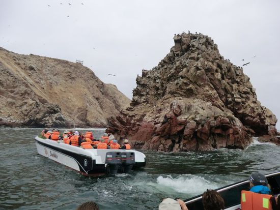 eine abenteuerliche tour, wie auch das dezente aroma, das die tausenden vögel über jahrzehnte hinweg hier manifestiert haben.
