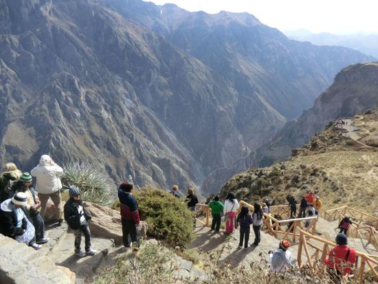 "VOGI SCHAUN" deluxe. - bzw. Touristenschaun für die Vogi